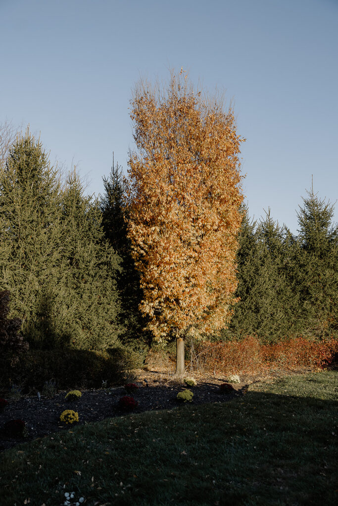 The grounds of The Farmhouse wedding venue in Hampton, NJ during the fall.